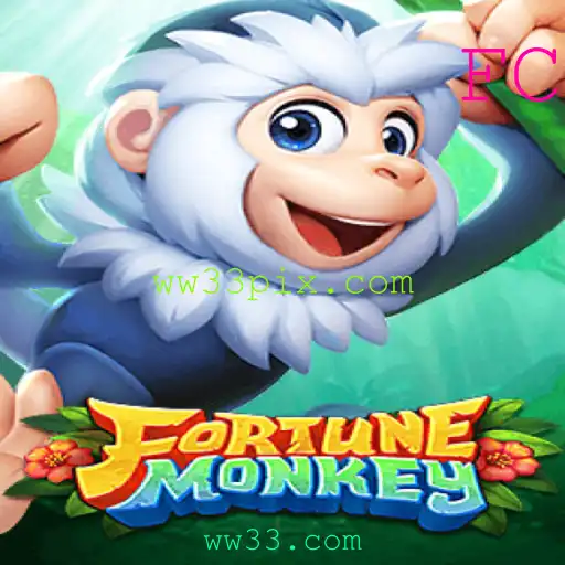 Descubra o Novo Jogo 